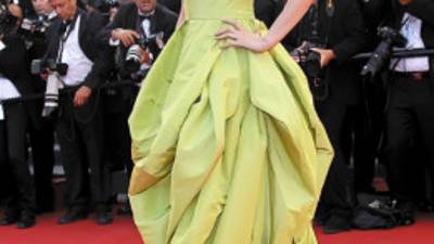 Chinese actress Fan Bing Bing poses on the red carpet before the screening of 'The Tree of Life' presented in competition at the 64th Cannes Film Festival on May 16, 2011 in Cannes. AFP PHOTO / VALERY HACHE