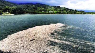 Kilómetros de playas están siendo contaminadas nuevamente en Omoa por la basura que llega desde Guatemala. El Gobierno, pobladores y empresarios exigen respuestas a los guatemaltecos. FOTOS:YOSEPH AMAYA