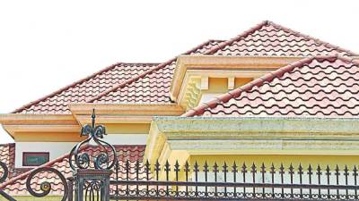 Las exportaciones anuales a Norteamérica se estiman entre 25 y 35 millones de dólares.