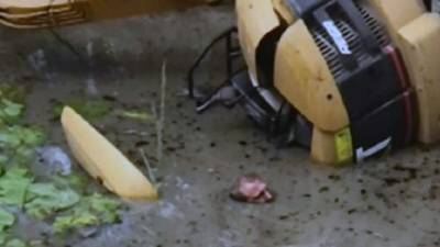 Quedó atrapado en el lodo hasta la mitad de su rostro y supervivió.