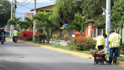 En las entradas y salidas del municipio de La Lima mejoran el ornato.