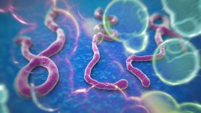 El ébola es una virus mortal.