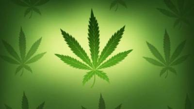 La marihuana podría usarse para fines medicinales.