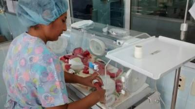 Los recién nacidos mientras descansan en la sala de Neonatología del hospital Mario Rivas.