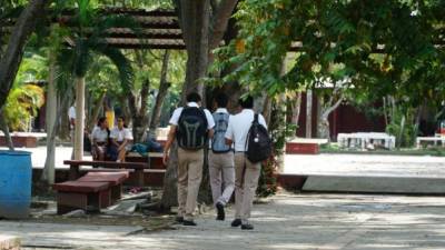 Al menos el 40% de estudiantes de último año del José Trinidad Reyes reprobó algunas de sus clases y deben entrar al programa TPA.