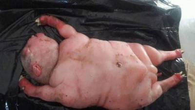 Las imágenes se hicieron virales en el internet.