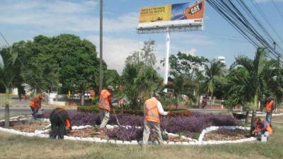 Las cuadrillas trabajan en algunas zonas.