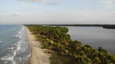 La laguna de Los Micos, la playa de Miami y el hotel Los Olingos, son tres opciones por disfrutar cuando visite el puerto de Tela.