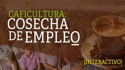 Más de 2,500 caficultores asistieron a los actos conmemorativos. Fotos: Yoseph Amaya