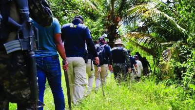En septiembre de 2022, la Agencia Técnica de Investigación Criminal destruyó una plantación de hoja de coca y un narcolaboratorio en la aldea La Unión, en Catacamas, Olancho.