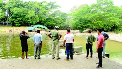 Improvisan con un reservorio para captar el vital líquido: solo está operando un motor.