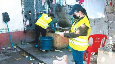 Personal de salud municipal de San Pedro Sula realiza fumigaciones y aplicación de larvicidas en barrios y colonias.
