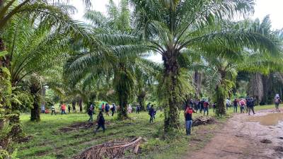 Los invasores, entre quienes se identifican hombres y mujeres, han levantado campamentos improvisados en los linderos de la propiedad.