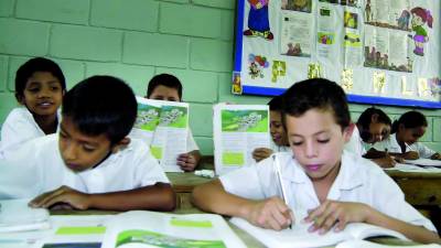 <b>El Informe de Progreso Educativo señala que es primordial darles libros de texto a cada estudiante para mejorar su aprendizaje.</b>