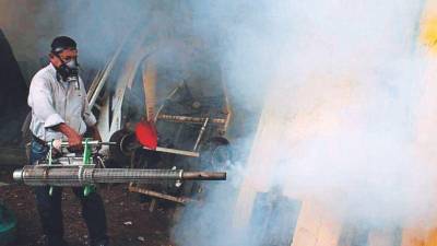 Organizadores de la campaña “Todos contra el dengue” llaman a la población a colaborar para facilitar los trabajos de limpieza, fumigación y eliminación de los criaderos de zancudos en los sectores que serán intervenidos.