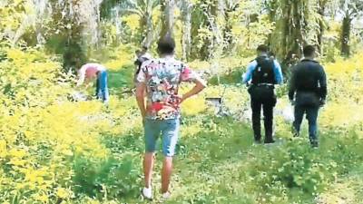 <b>La joven Rosa Martínez, bailarina de un grupo musical, fue hallada ultimada en una plantación de palma africana</b>