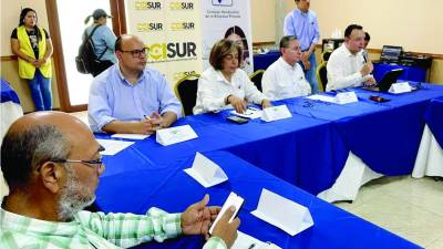 <b>Autoridades del Cohep durante la reunión con los productores de la zona sur. Fotos: Cortesía Cohep.</b>