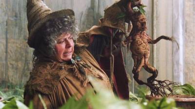 Escena de la actriz Mirian Margolyes en “Harry Potter”.