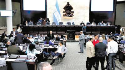 <b><span class=mln_uppercase_mln>Cámara.</span></b> En mayor parte de las fuerzas políticas, diputados señalaron estar en contra de la posible discusión de una ley que busque atentar en contra del derecho a la vida.