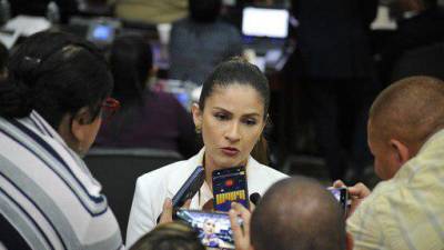La diputada Kritza Pérez asistió a la sesión legislativa del martes 30 de enero en el Congreso Nacional.
