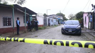 Honduras registra una media de entre 10 y 11 homicidios diarios.