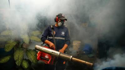 El virus del Oropouche se transmite a través de la picadura de un insecto conocido como “jején” y del mosquito Culex.