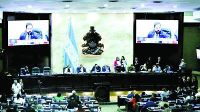 El presupuesto de las primarias será discutido en la sesión de hoy.