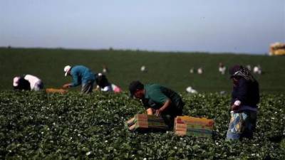 Fotografía referencial de trabajadores indocumentados en Estados Unidos.