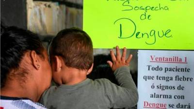 Casi un centenar de vidas arrebatadas por el mosquito