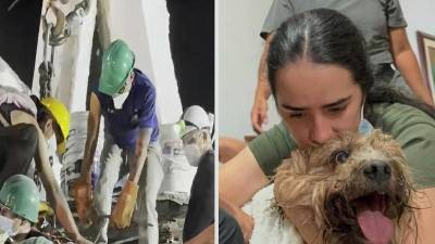 Cuando los rescatistas llevaban cerca de 48 horas removiendo toneladas de hierros retorcidos y concreto en las Torres del Limonar, en Cali, una señal de vida ilusionó a quienes seguían buscando entre los restos de uno de los edificios destruidos por el terremoto que sacudió a Colombia el pasado lunes.