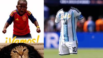 Argentina perdió la final ante España y las redes sociales se desataron.