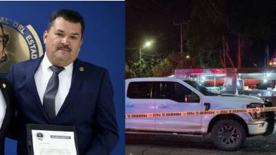 Julio Meza Gaona, excoordinador general de la Policía de Investigación de la Fiscalía General del Estado de Michoacán, México, fue asesinado a balazos la noche del jueves 9 de julio en la ciudad de Morelia, mientras se encontraba en un establecimiento de tacos ubicado sobre la avenida Acueducto.