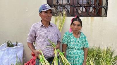 En el marco de la Semana Santa, en conmemoración del Domingo de Ramos, la Policía Nacional se encuentra lista para desplegar operativos de seguridad y control en distintos puntos de la ciudad, especialmente en zonas donde tradicionalmente se realiza la venta de palmas de olivo.
