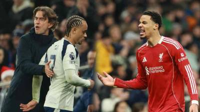 El partido entre el Tottenam y Liverpool terminó con dos expulsados.
