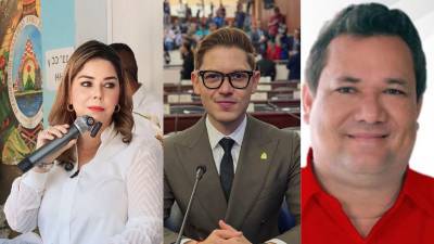 La designada presidencial María Antonieta Mejía generó reacción entre los diputados liberales luego de cuestionar la participación del Partido Liberal en el actual esquema de gobernabilidad, señalando que, a su criterio, los liberales debieron mantenerse como oposición.