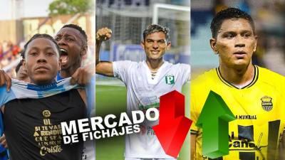 Estos son los últimos movimientos del mercado de fichajes de Honduras. Los grandes equipos presentan novedades.