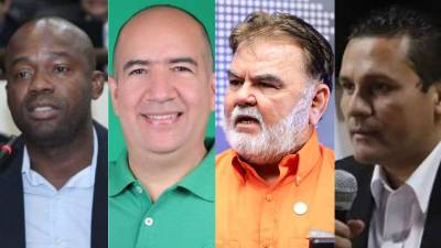 Aunque con menor caudal de votos, los partidos minoritarios Democracia Cristiana y Pinu suman dos curules cada uno dentro de los 128 diputados del Congreso Nacional. La pregunta es: ¿quiénes son y cómo, pese a sus marcas reducidas, logran asegurar presencia en el Poder Legislativo?