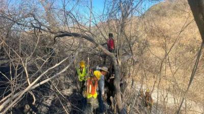 Durante siete días, las llamas avanzaron sin tregua sobre el caserío El Volcán y la aldea de San Jerónimo, en Piraera, Lempira. El incendio, el primero de gran magnitud en zona de sembrada con robles y pinos, en lo que va del año, obligó a la intervención del 17 Batallón de Infantería para lograr su sofocación.