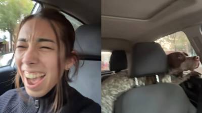 Una escena tan inesperada como divertida ha captado la atención de millones de usuarios en TikTok, luego de que una joven descubriera que no regresaba sola a casa tras recoger su automóvil del taller mecánico.