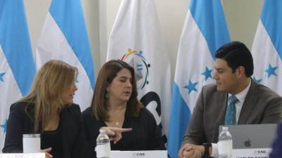 La ley permite al CNE declarar los resultados incluso si Marlon Ochoa no integra el pleno.