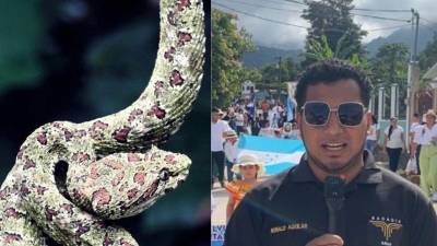 Una aventura en la montaña por parte del periodista hondureño Ronald Aguilar por poco termina en una tragedia, por fortuna.