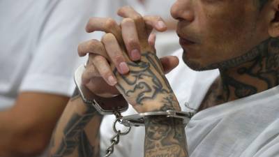 Cientos de presuntos líderes de la pandilla Mara Salvatrucha (MS13) en El Salvador enfrentan una inédita audiencia en la que se juzga a más de 400 pandilleros desde el Cecot, la megacárcel emblema de la guerra de Nayib Bukele contra estas bandas, que se abrió a la prensa por primera vez en este proceso judicial.