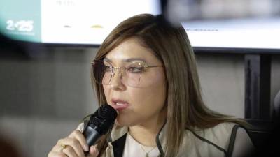 Hall expresó confianza en que las Fuerzas Armadas actuarán conforme a lo establecido en la Constitución de la República.