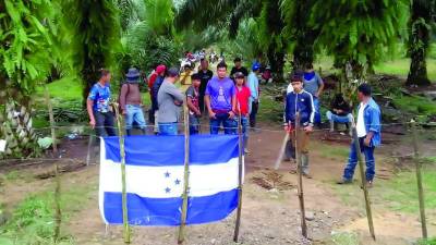 Las tierras invadidas dedicadas a la agricultura se encuentran principalmente en Cortés, Atlántida y Colón, han constatado periodistas de Diario LA PRENSA.