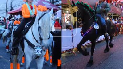 La ciudad de La Ceiba vivió este sábado una de sus jornadas más esperadas con la celebración del tradicional desfile hípico en el marco del Carnaval Internacional de la Amistad 2026, evento que reunió a cientos de familias y visitantes nacionales e internacionales.