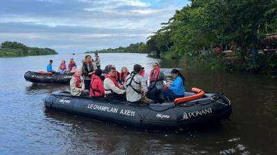 Los cruceristas podrán recorrer los canales de la reserva para avistar especies emblemáticas como el manatí y diversas aves tropicales, así como apreciar el museo científico de Cuero y Salado.