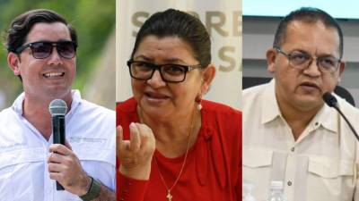 Durante el período 2022-2026, bajo el gobierno del partido Libertad y Refundación (Libre), el Poder Ejecutivo estuvo conformado por 26 secretarías de Estado, 36 instituciones autónomas o descentralizadas y otras entidades públicas de segunda categoría.