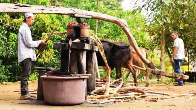Desde 2005, el hotel de campo Villa de Ada se ha erigido en esta histórica ciudad como un refugio que se niega a dejar morir el pasado.