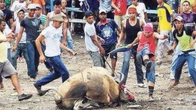 Las autoridades colombianas iniciaron una investigación penal tras la 'cruel' muerte de un toro.
