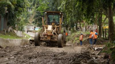 La maquinaria comenzó ayer a trabajar.